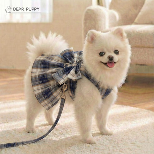 Le Pull 'K-Warm' Signature – Puppy Gallery