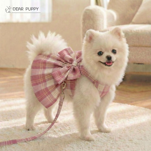 Le Pull 'K-Warm' Signature – Puppy Gallery