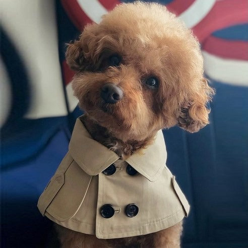 Cape Trench-Coat 'Royal Park' – Hi Guy Luxe