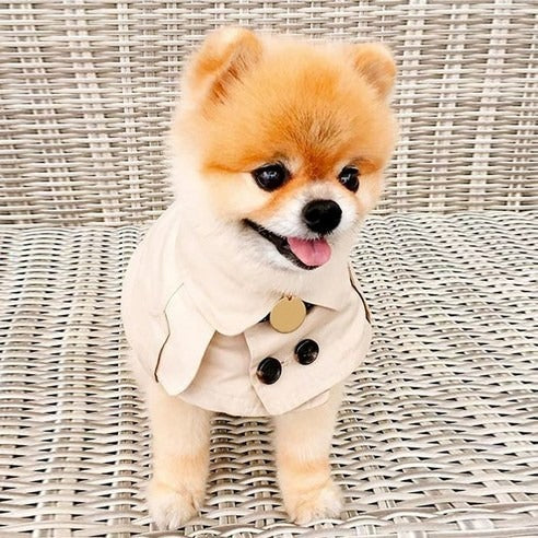 Cape Trench-Coat 'Royal Park' – Hi Guy Luxe