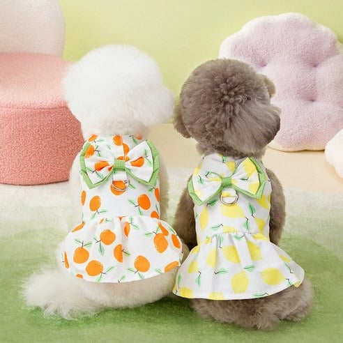 Robe 'Vitaminée' – Harnais Intégré
