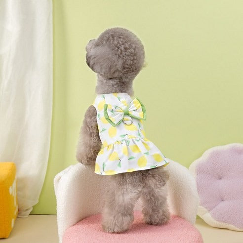 Robe 'Vitaminée' – Harnais Intégré