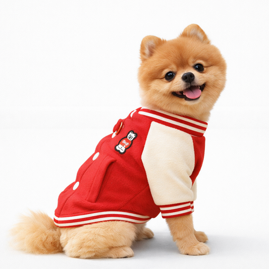 Veste 'Varsity Bear' – Harnais Intégré
